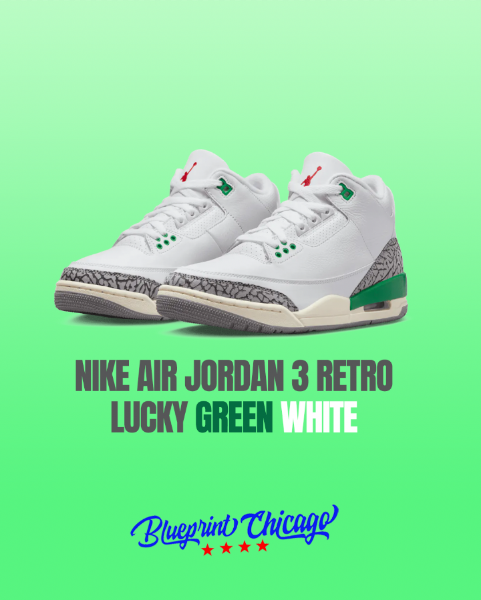 Nike Air Jordan 3’s